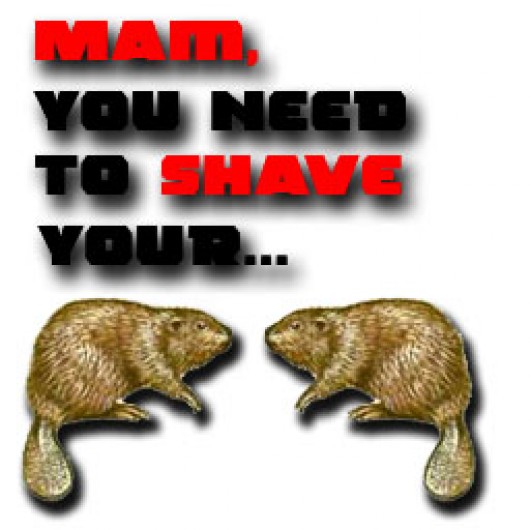How To Shave Beaver 114