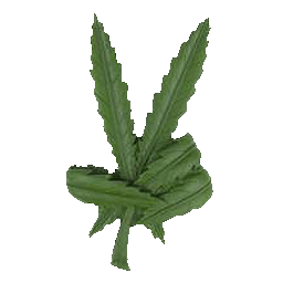 Weed Peace Sign