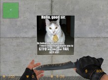 Lolcat Gtfo