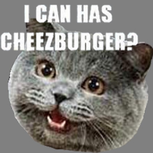 I Can Has Cheezburger Team Fortress 2 Sprays - 