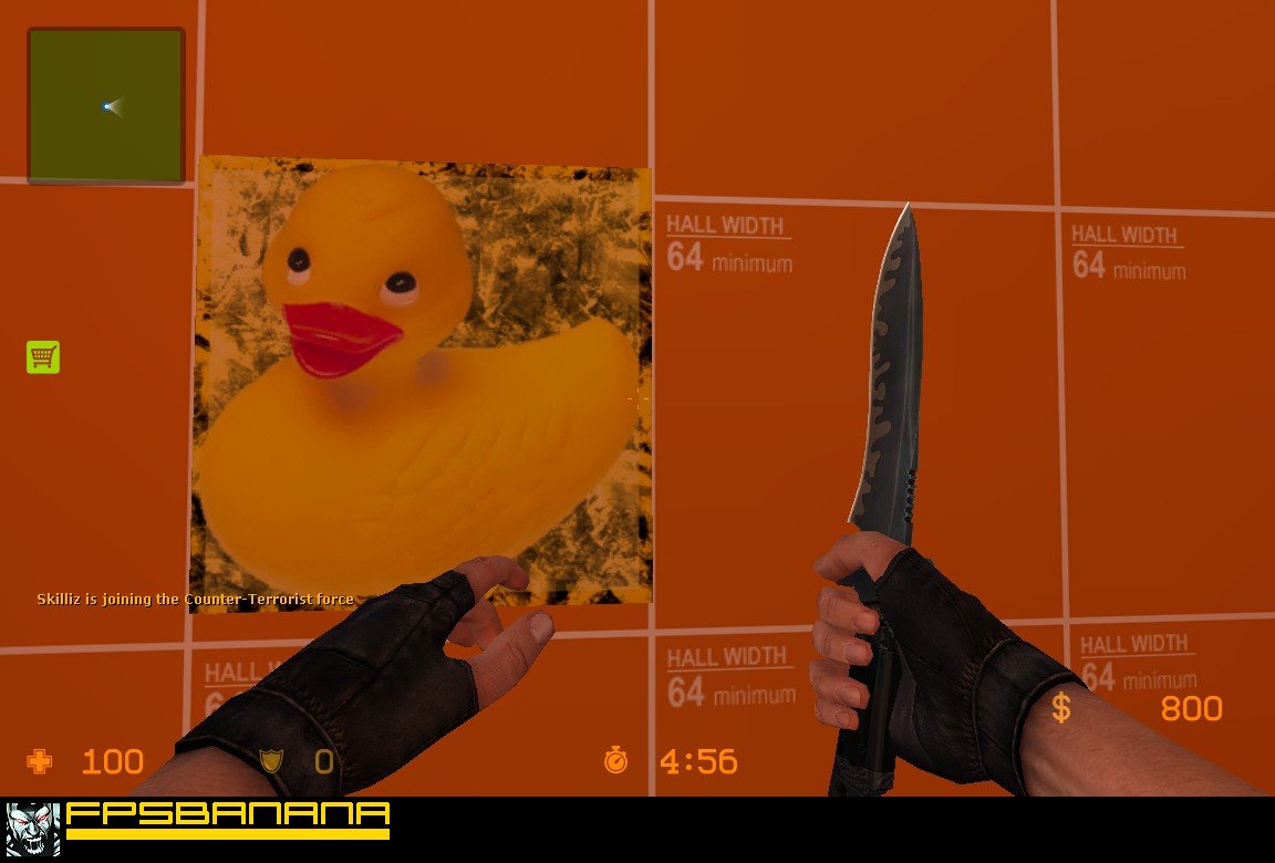 Что такое duck cs go